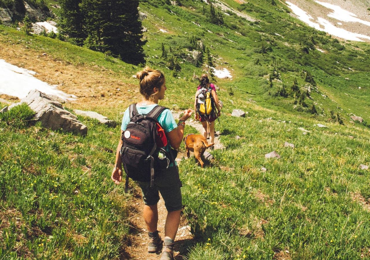 Two hikers and their dog walking a narrow trail through a green alpine meadow below rocky peaks